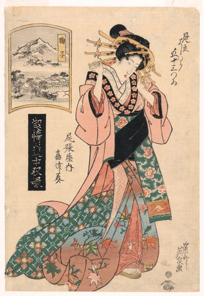 Mariko, "En Yüksek Sıradaki Geyşanın Yolculuğu" dizisinden by Keisei Eisen