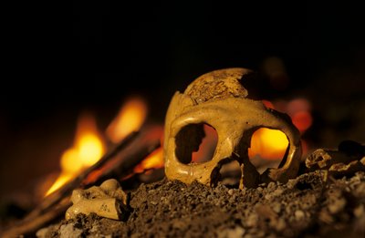 DOH; Neandertaller 130.000 yaşında, bir kadına ait kafatası, Krapina 3, Krapina Mağarası, Balkanlar by Kenneth Garrett