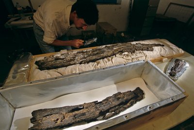 Dr. Matthew Adams laboratuvarda ahşap tekne tahtasını inceliyor, sert ağaç, sedir değil, Abydos, Mısır