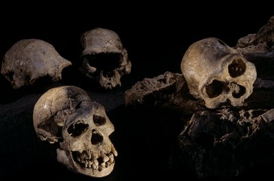 Dmanisi