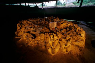 Bir kemik kulübesinden mamut çene kemikleri, Mezhirich, Ukrayna, 2000 (fotoğraf) by Kenneth Garrett