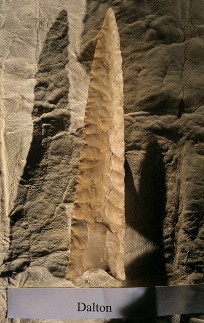 Peopling the Americas, Dalton Point, Dennis Stanford, Smithsonian alet koleksiyonu, 2008 (fotoğraf) by Kenneth Garrett