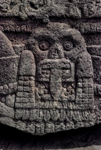 Kafatası ve yılan oyması, Tenochtitlan, Templo Mayor, Aztek, Meksika, Mexico City, Gr..., 2010 (fotoğraf) by Kenneth Garrett