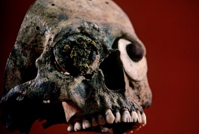 Eğelenmiş dişli kafatası, Aztek, Meksika, Templo Mayor, 2010 (fotoğraf) by Kenneth Garrett