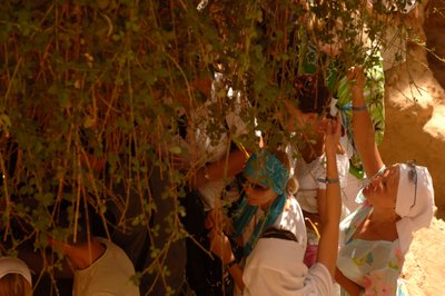 Turistler Aziz Catherine Manastırı