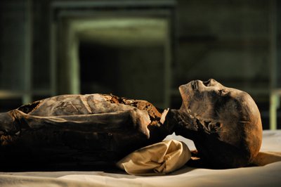 mm7864; 18. Hanedanlık; Yeni Krallık; Mısır; DNA; Örnek; Mumya, bilinmeyen mumya, 2005 (fotoğraf) by Kenneth Garrett