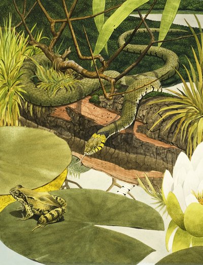  by Kenneth Lilly