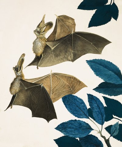  by Kenneth Lilly