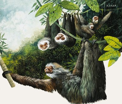  by Kenneth Lilly
