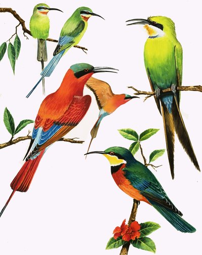  by Kenneth Lilly