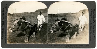 Seul yakınlarında çiftçilik, Güney Kore, 1900