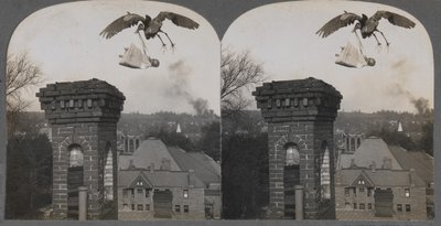 Eski Zamanlarda, İnsanlar İyi Olsaydı, Leylek Bir Bebeği Tatlı ve Güzel Getirirdi, 1907. by Keystone View Company