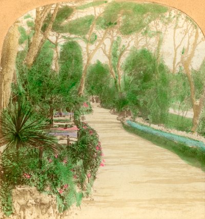 Gezinti Yolu, Alameda Bahçesi, Cebelitarık Kayası, 1896. by Keystone View Company