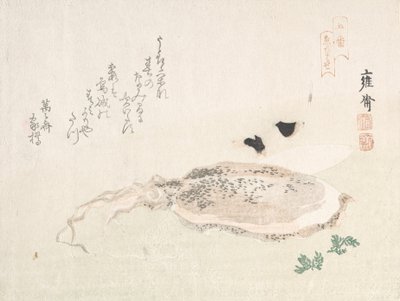 Mürekkep Balığı, 19. yüzyılın başlarında. by Kikuchi Yosai