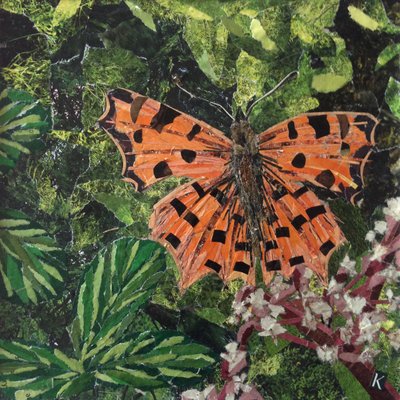 Flutter - Japonica Üzerinde Virgül Kelebek by Kirstie Adamson