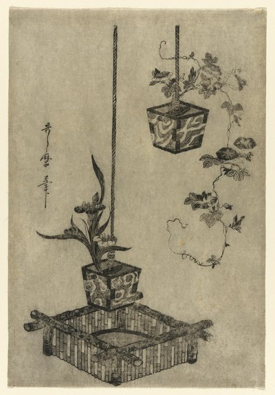Süsen Düzenlemeleri ve Sabah Zaferleri by Kitagawa Utamaro