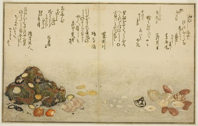 Ayak-dış, istiridye, kogai, serçe-dış, Akoya-dış, plan d-dış, f-m-te-u-st-latte d-kitap k "teknik fts f-m-te-e-b") ) by Kitagawa Utamaro