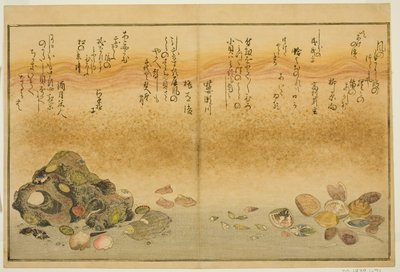 Ashi-gai, hamaguri, ko-gai, suzume-gai, akoya-gai ve katashi-gai, "Gelgitten Gelen Hediyeler (Shiohi no tsuto)" resimli kitabından by Kitagawa Utamaro