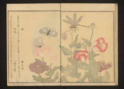 Poppies yakınındaki kelebekler ve yusufçuk by Kitagawa Utamaro