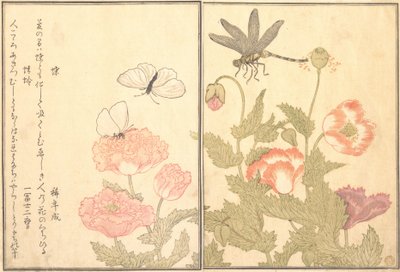 Kelebek Cho, Yusufçuk Kagero veya Tonbo, 1788. by Kitagawa Utamaro