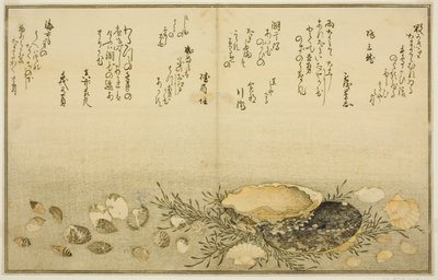 Chidori-dışarı, ağrı-dışarı, abalone, transfer-dışarı, asari-dışarı, plan d kişi Allah, k "tekniği fts te eh b zemin (gelgit kurutma) Bract) ” by Kitagawa Utamaro