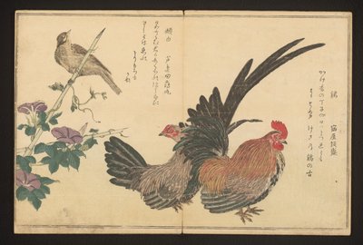horoz ve kiraz kuşu by Kitagawa Utamaro