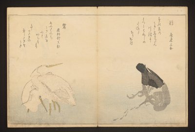 karabatak ve balıkçıl by Kitagawa Utamaro