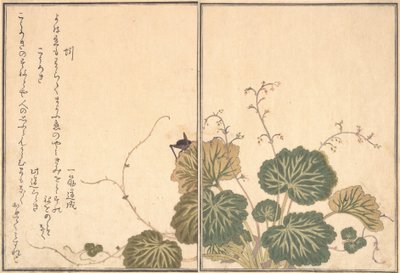Solucan Mimizu, Cricket Korogi..., 1788. by Kitagawa Utamaro