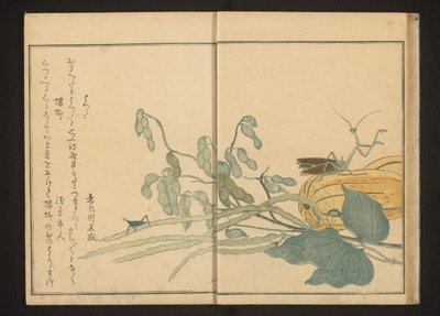 Fasulye üzerinde çekirge ve kavun üzerinde peygamber devesi by Kitagawa Utamaro