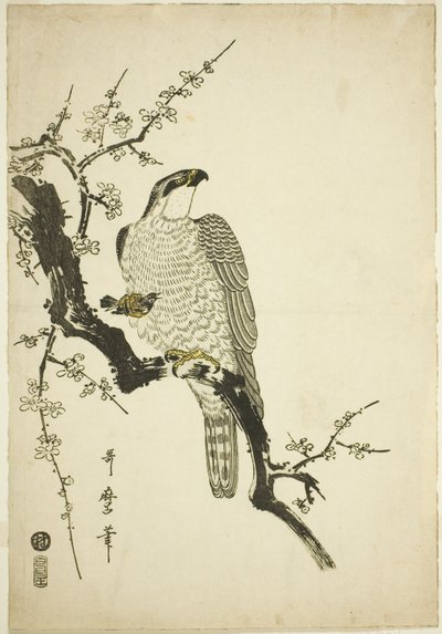 Erik dalı üzerinde şahin by Kitagawa Utamaro