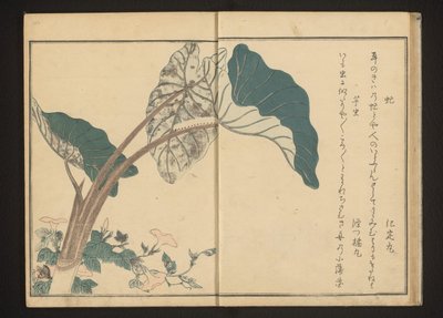 Gündüzsefası üzerinde at sineği ve taro bitkisinde tırtıl by Kitagawa Utamaro