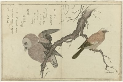 Jay ve baykuş by Kitagawa Utamaro