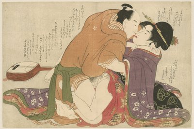 Bir shamisen