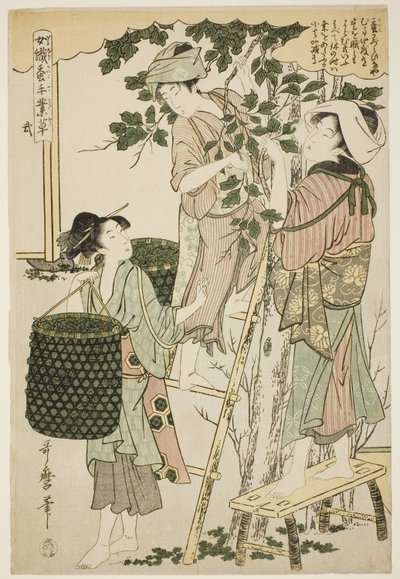 Numara. 2 (ni), "İplikçilik Sektöründe Çalışan Kadınlar" dizisinden by Kitagawa Utamaro