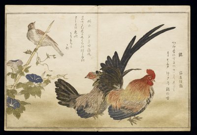 S.332-1946 Cilt 1 f.8 Sağda Cockerel ve Hen, solda bir Bunting ile, bir albümden 