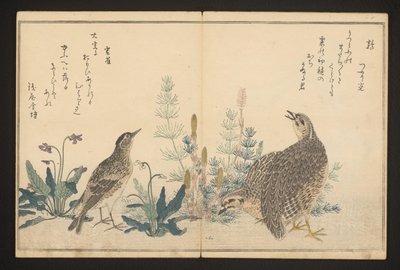Bıldırcın ve skylark by Kitagawa Utamaro