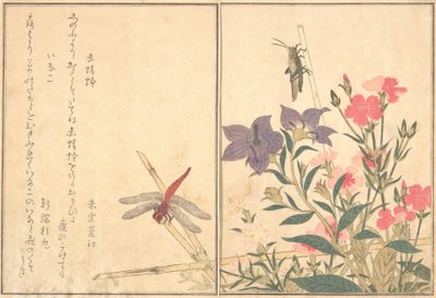Kızıl Yusufçuk Akatonbo, Locust Inago..., 1788. by Kitagawa Utamaro