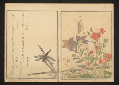 Pembeler tarafından kırmızı yusufçuk ve çekirge by Kitagawa Utamaro
