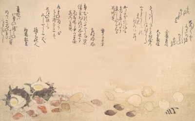 Su Altındaki Kabuklar, 1790. by Kitagawa Utamaro