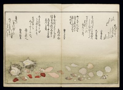 Shell Book olarak bilinen Shiohi no tsuto (Gelgitten Gelen Hediyeler), 1789 (renkli tahta baskı) by Kitagawa Utamaro