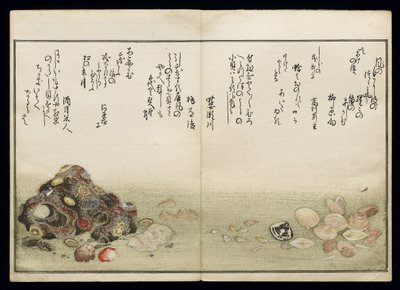 Shell Book olarak bilinen Shiohi no tsuto (Gelgitten Gelen Hediyeler), 1789 (renkli tahta baskı) by Kitagawa Utamaro