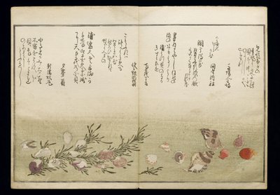 Shell Book olarak bilinen Shiohi no tsuto (Gelgitten Gelen Hediyeler), 1789 (renkli tahta baskı) by Kitagawa Utamaro