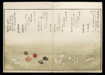 Shell Book olarak bilinen Shiohi no tsuto (Gelgitten Gelen Hediyeler), 1789 (renkli tahta baskı) by Kitagawa Utamaro