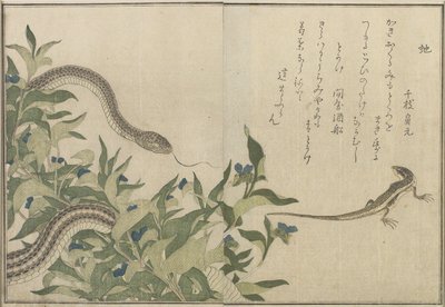 Yılan ve Kertenkele, 1788 (renkli tahta baskı) by Kitagawa Utamaro