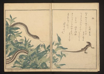 Bir çalı tarafından yılan ve kertenkele by Kitagawa Utamaro