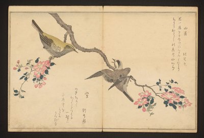 baştankara ve çalı ötleğen by Kitagawa Utamaro