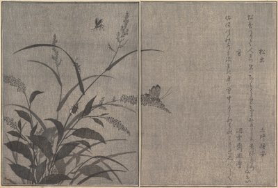 Ağaç kriket Matsumushi, Ateşböceği Hotaru..., 1788. by Kitagawa Utamaro