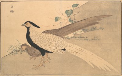 b Ae Hyun, 1789. by Kitao Masayoshi