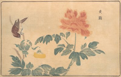 Çin Sarımsağı ve Şakayık, 1789. by Kitao Masayoshi