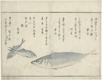 üç balık by Kitao Masayoshi